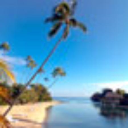 Olive Garden Italian Restaurant